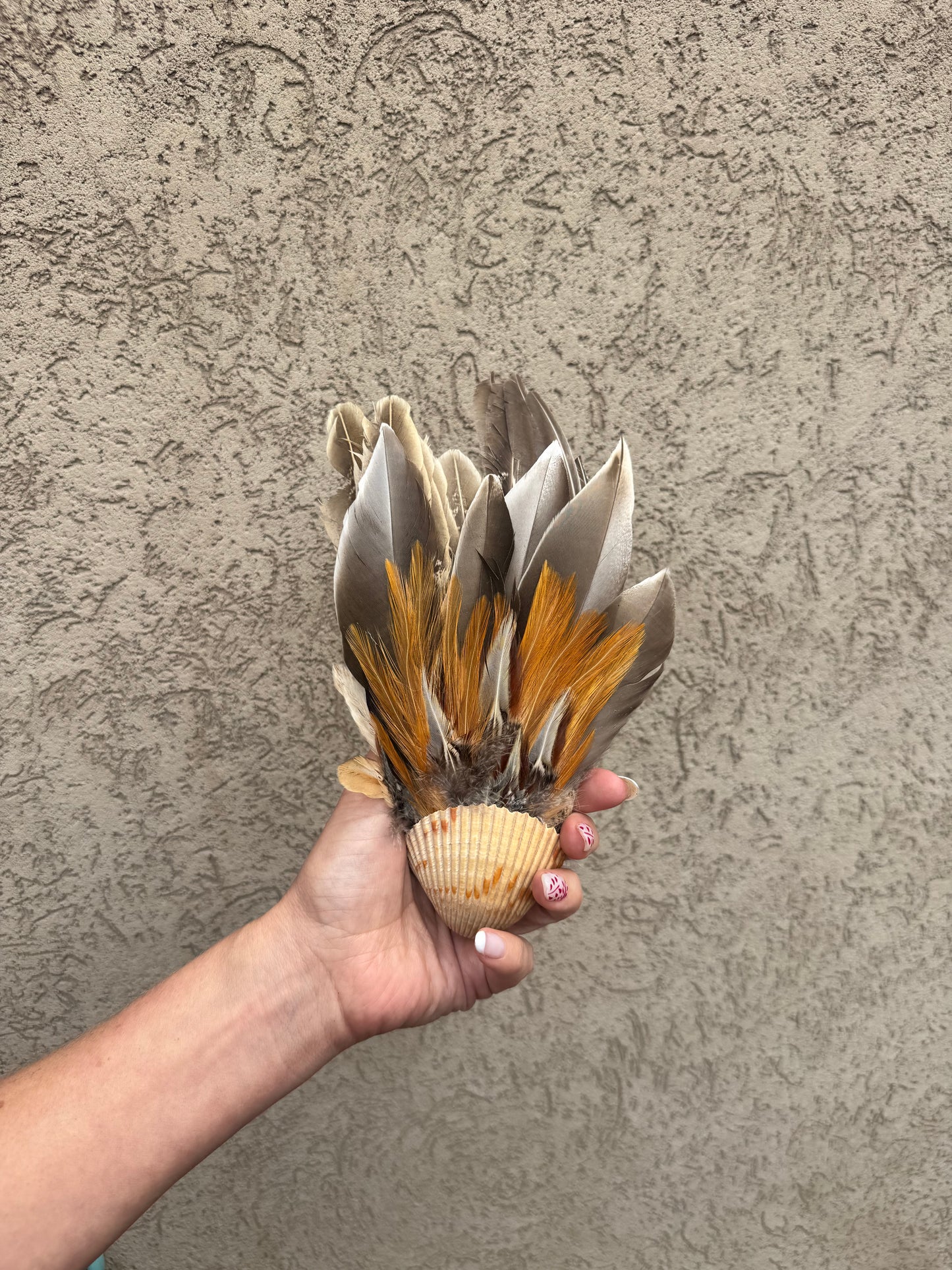 Seashell Smudging Fan