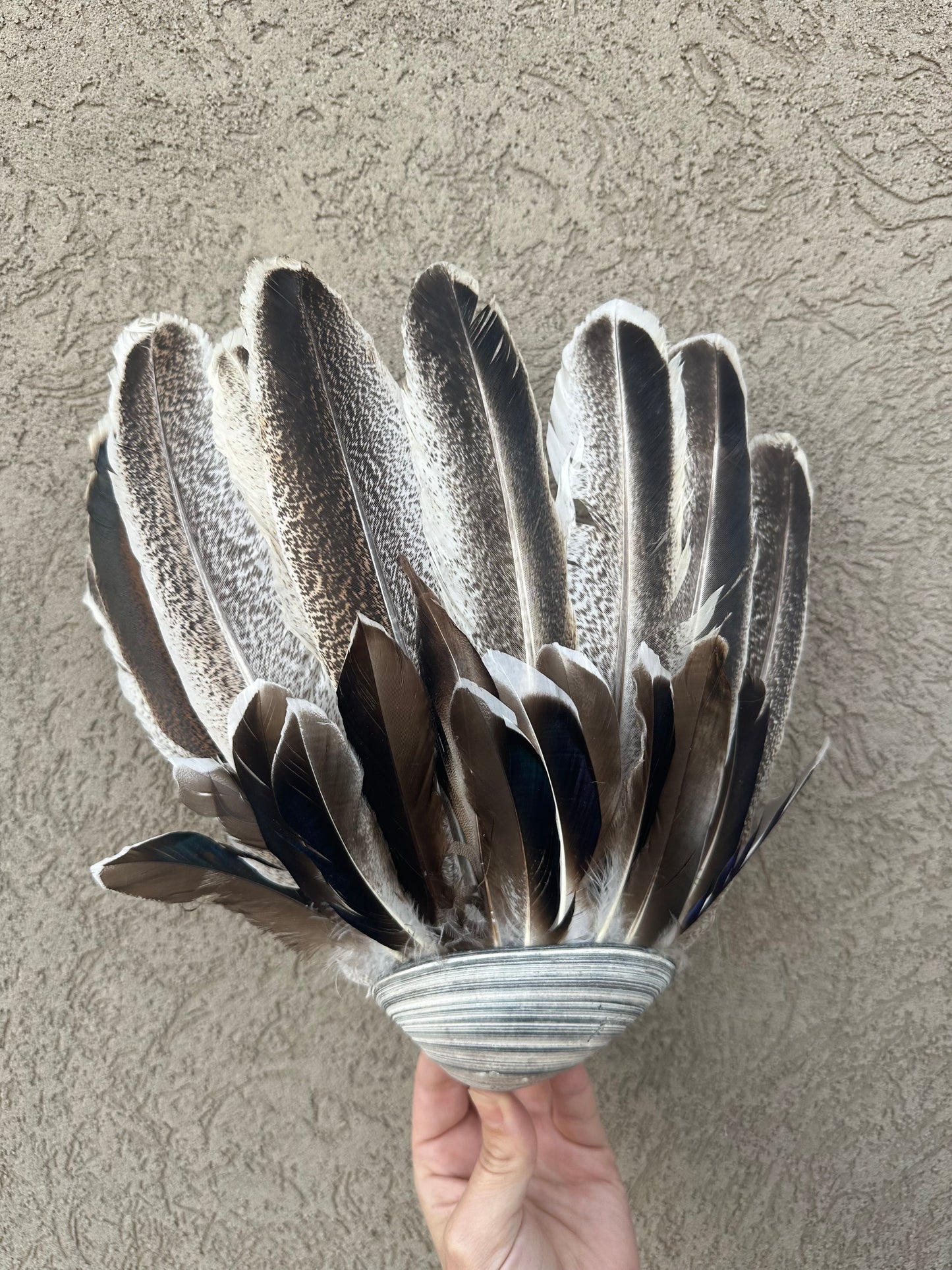 Seashell Smudging Fan