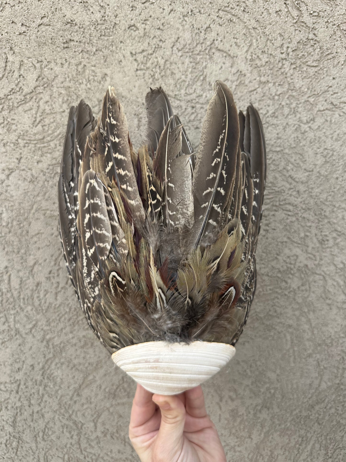 Seashell Smudging Fan