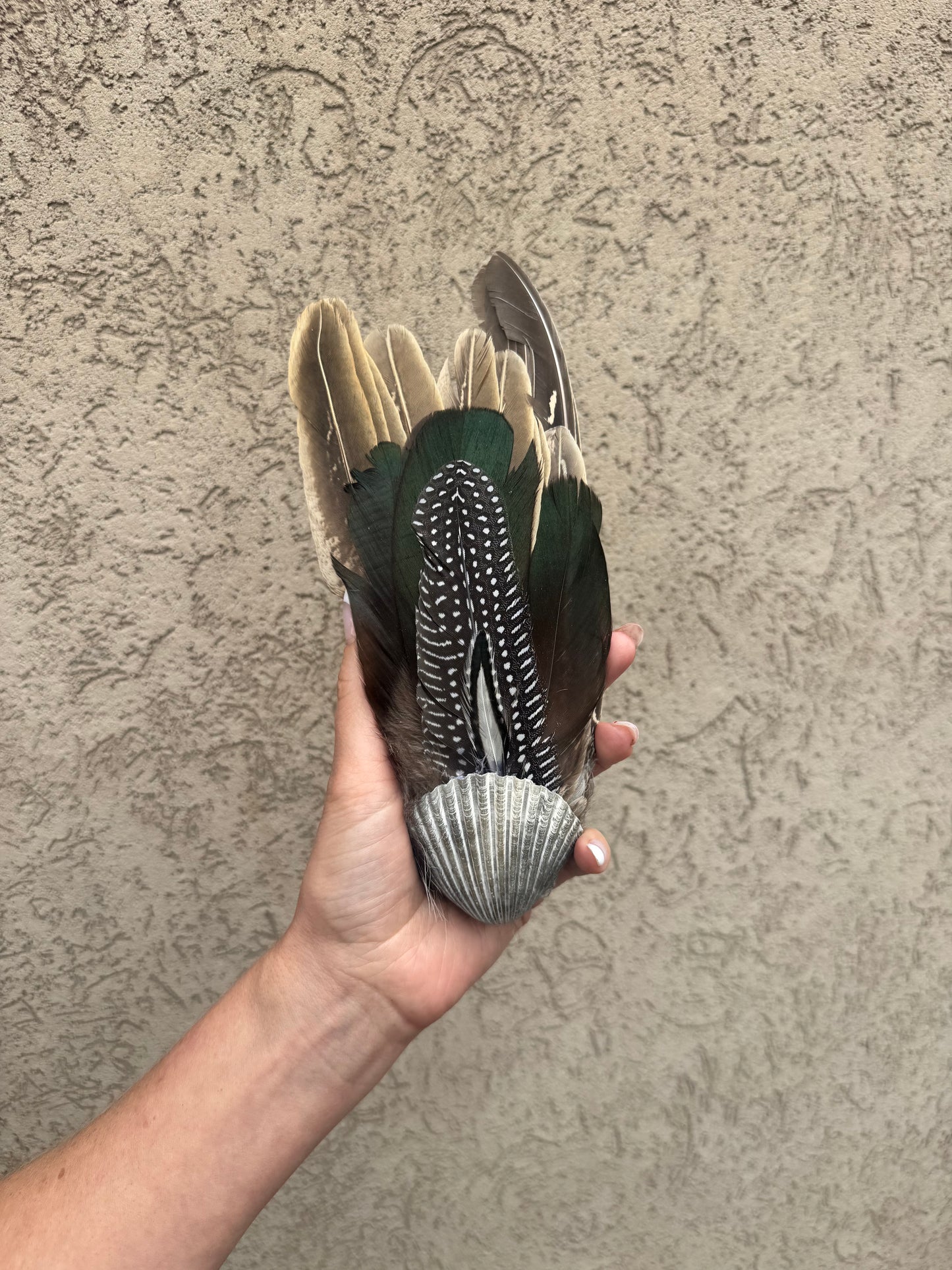 Seashell Smudging Fan