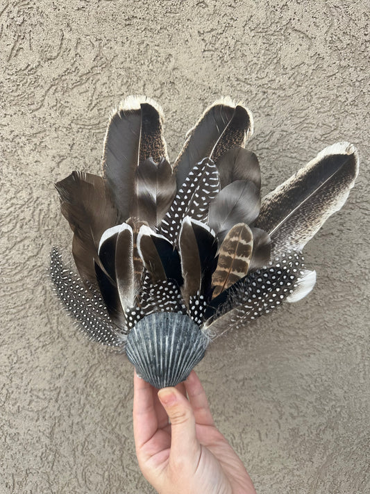 Seashell Smudging Fan