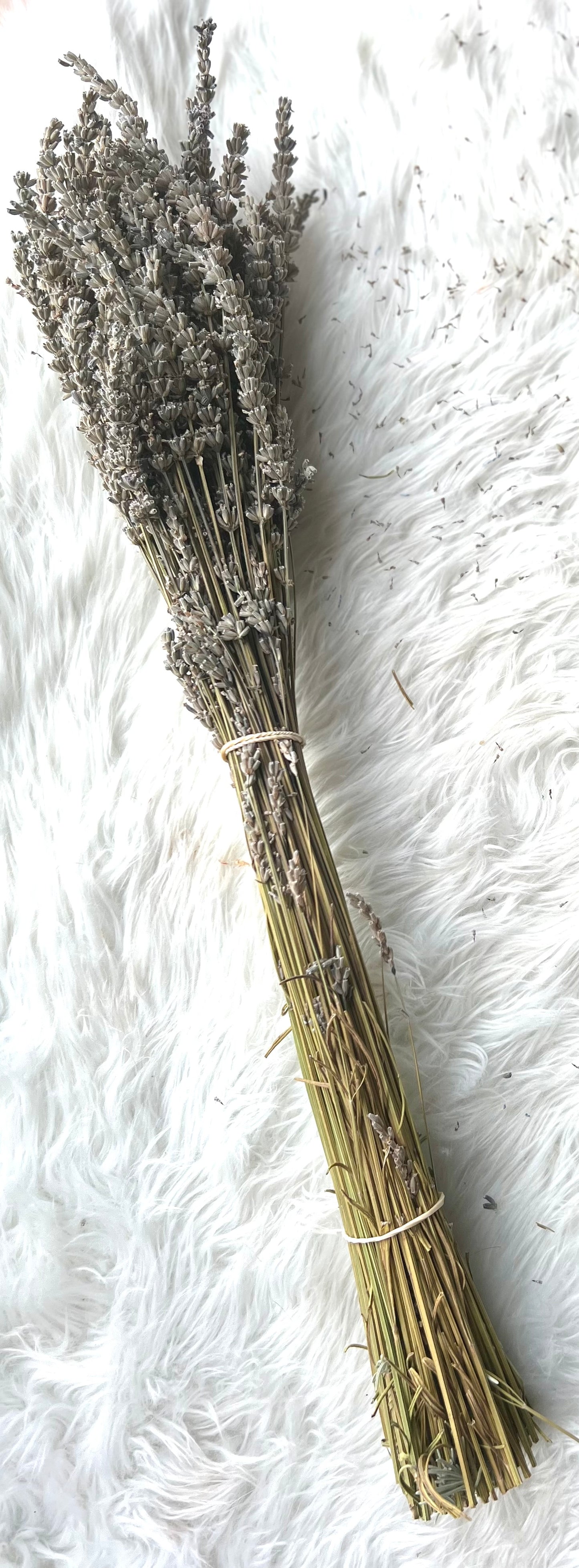 Organic Lavender bundles